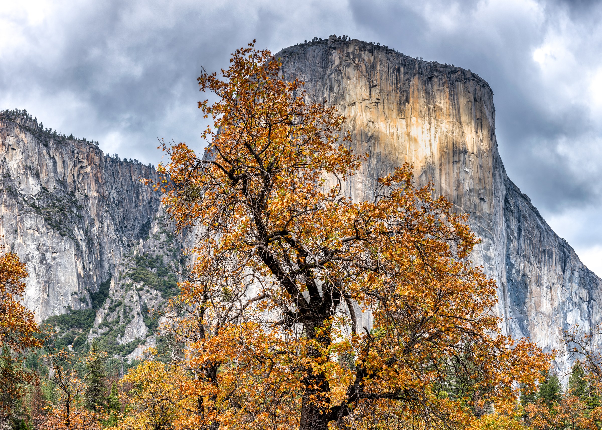Spirit of El Capitan