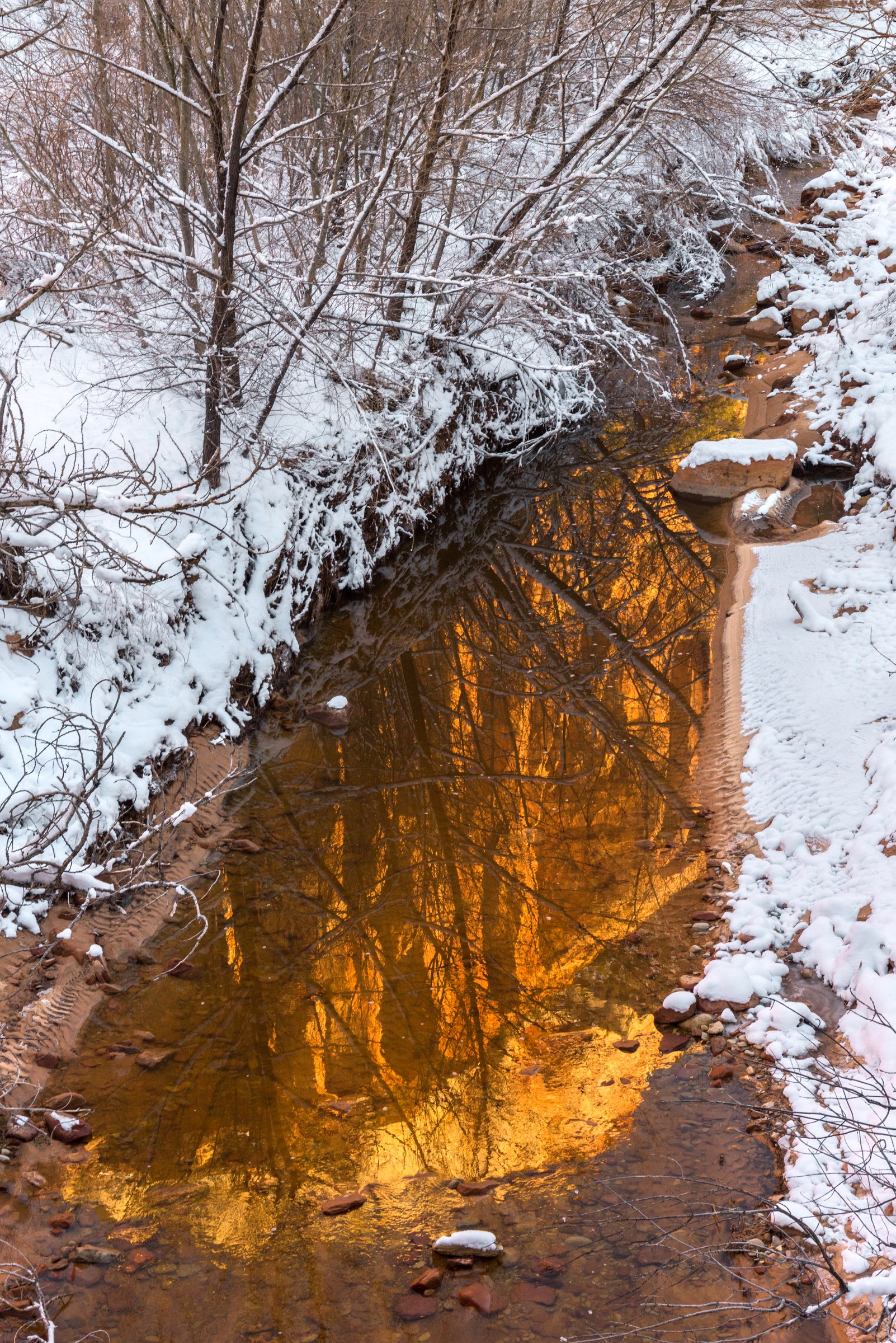 Reflection of East Temple in Pine Creek, Zion National Park, Utah