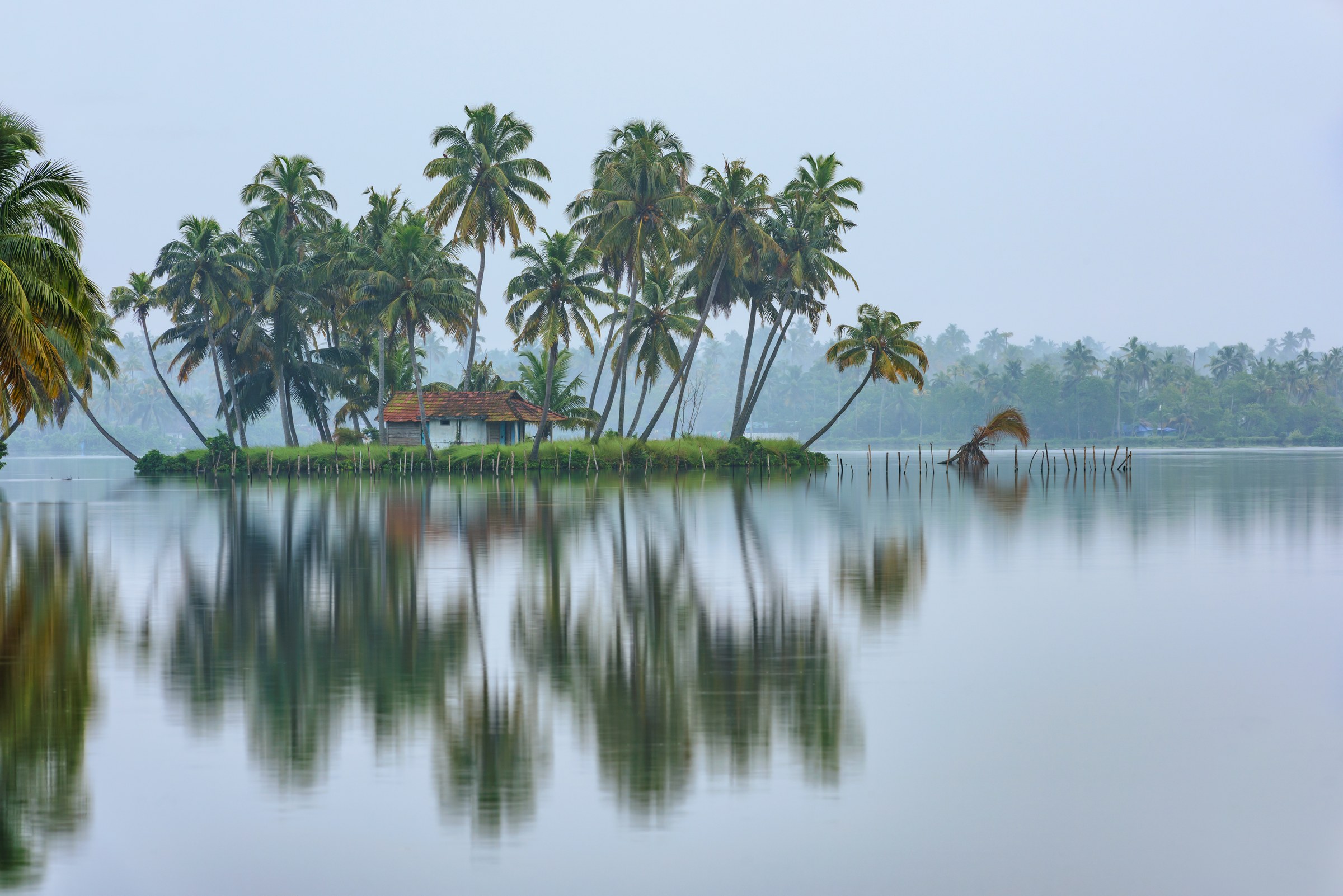 A small island in a shrimp farm at Edvanakkad, Kerala, India