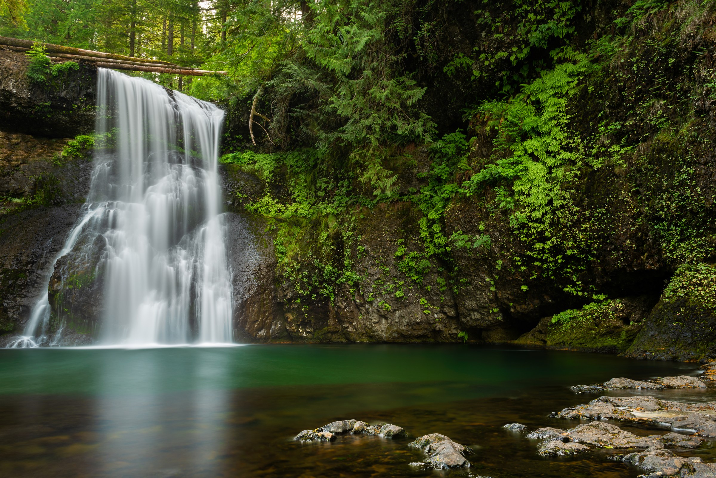 Upper North Falls, Silver Falls State Park, Oregon