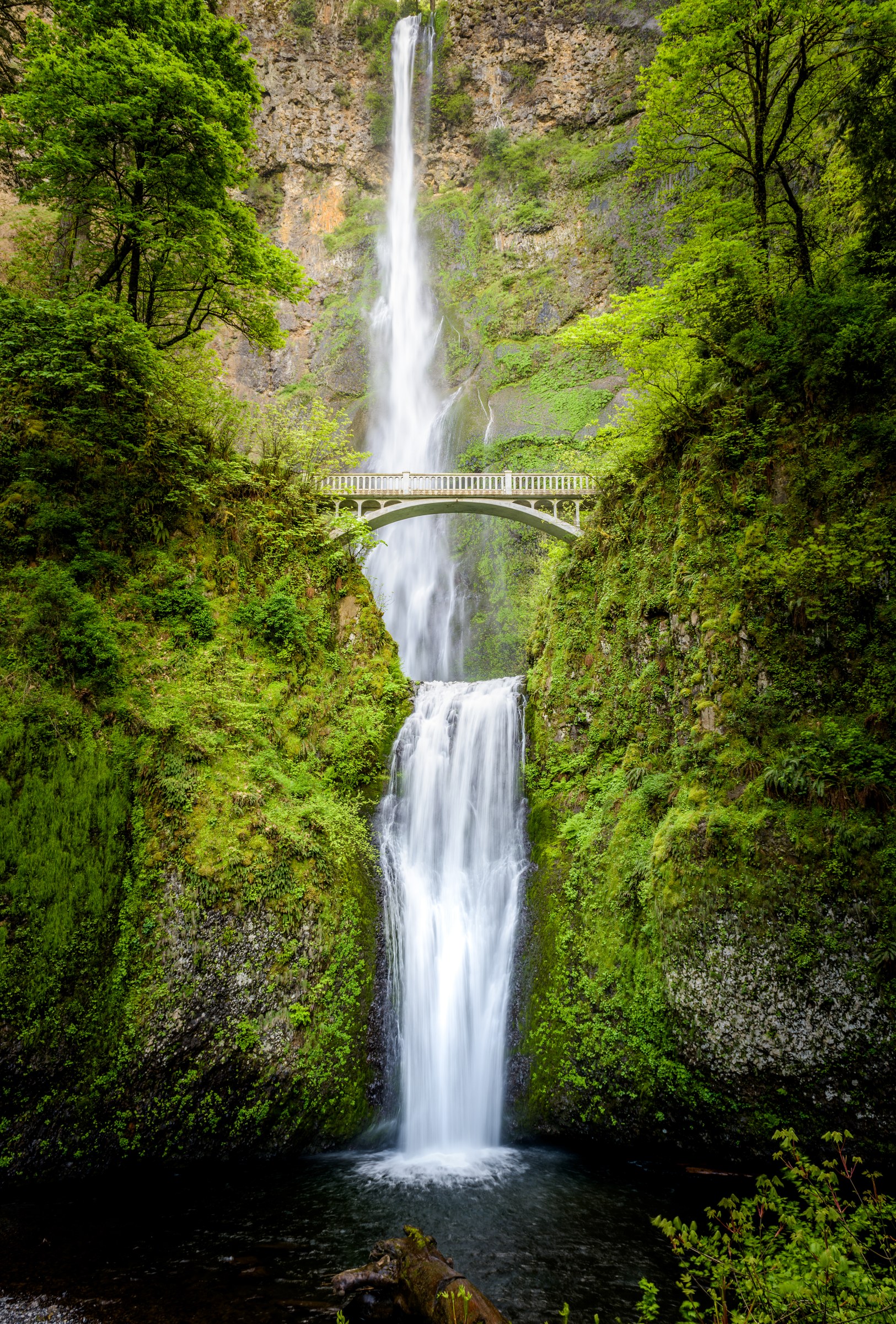 Multnomah Falls, Columbia River Gorge, Oregon