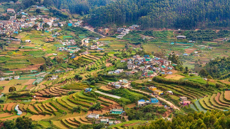 Terraces of Vattavada