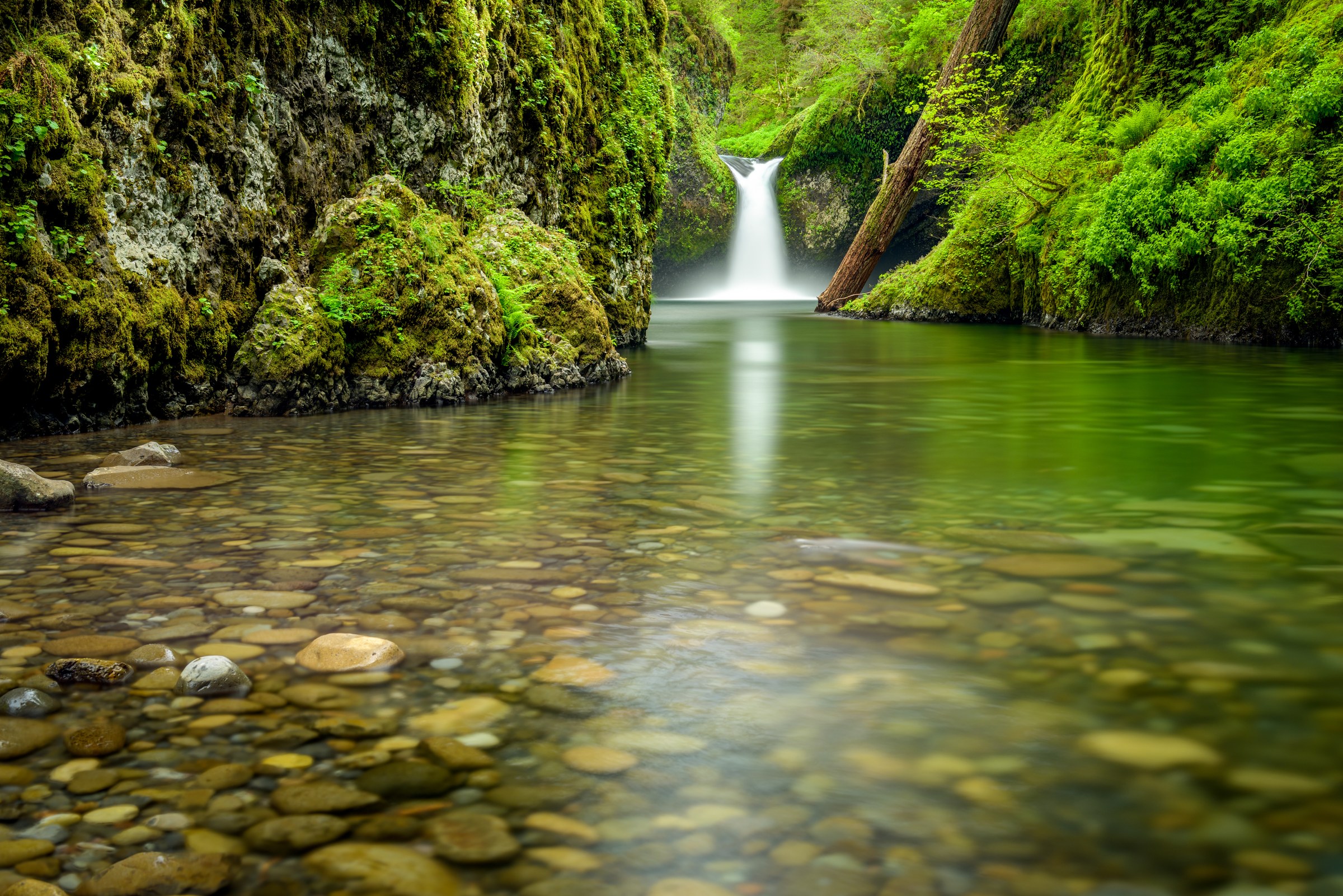 Punch Bowl Falls, Columbia River Gorge National Scenic Area, Oregon